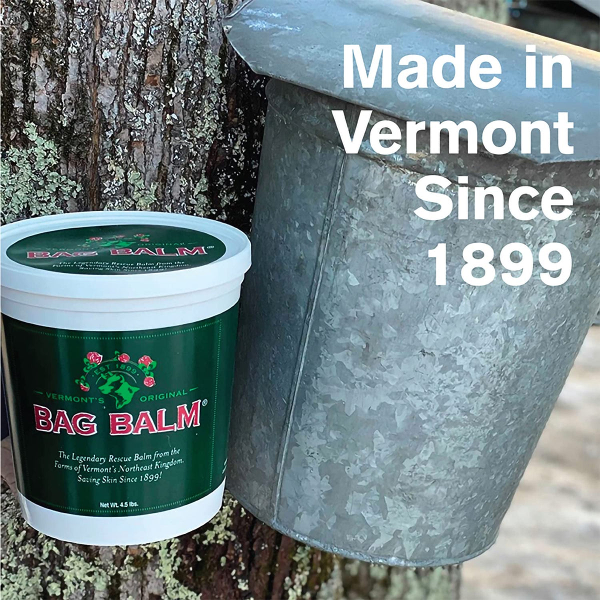 Bag Balm 72oz pail with outdoor background
