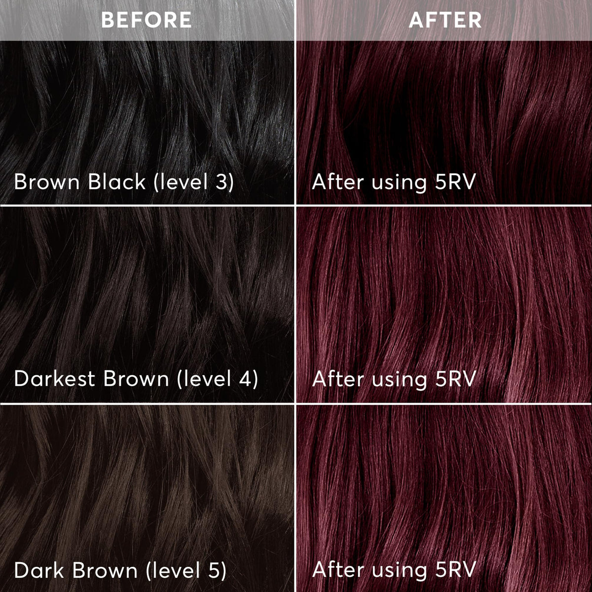Barrier cream and instruction booklet from Madison Reed Hair Color Kit