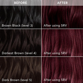 Barrier cream and instruction booklet from Madison Reed Hair Color Kit