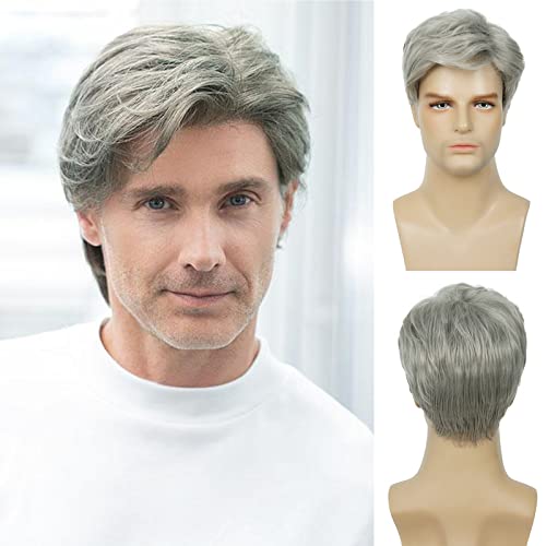 Baruisi Men's Short Grey Wig front view