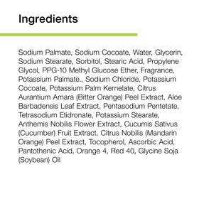 Basis Vitamin Bar Soap with fruit extracts and botanicals