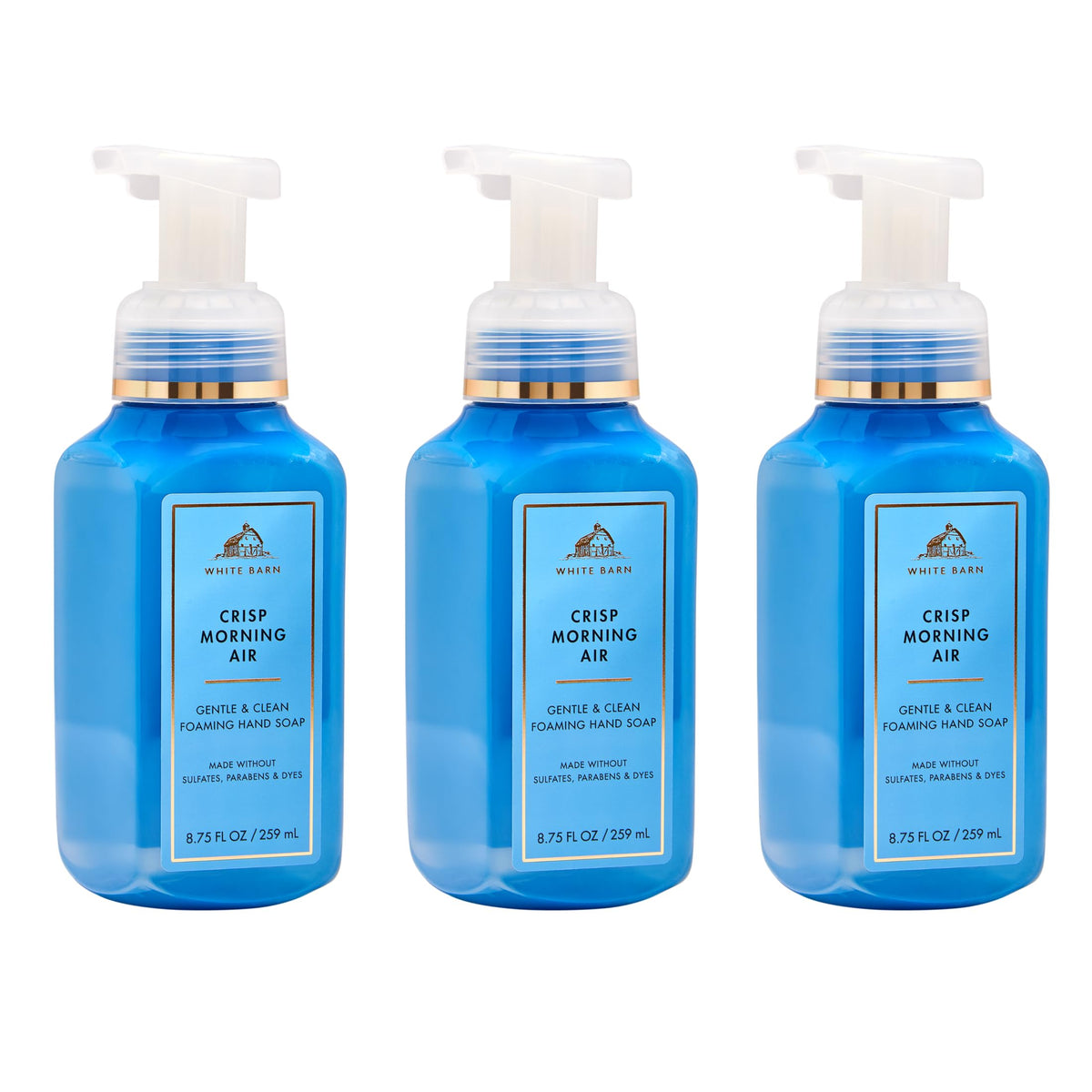 Bath & Body Works Crisp Morning Air Foaming Hand Soap 3-Pack front view