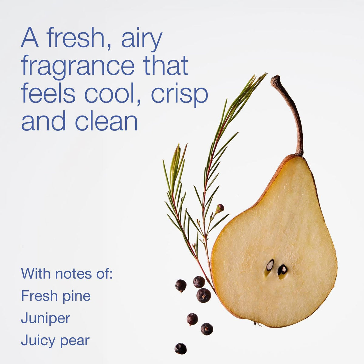 Bath & Body Works Crisp Morning Air Foaming Hand Soap with fresh pine and juniper