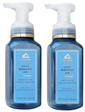 Bath & Body Works Crisp Morning Air Gentle Foaming Hand Soap packaging details