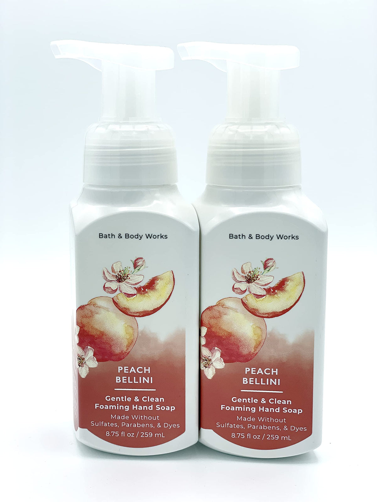 Bath & Body Works Gentle & Clean Foaming Hand Soap 2-Pack front view