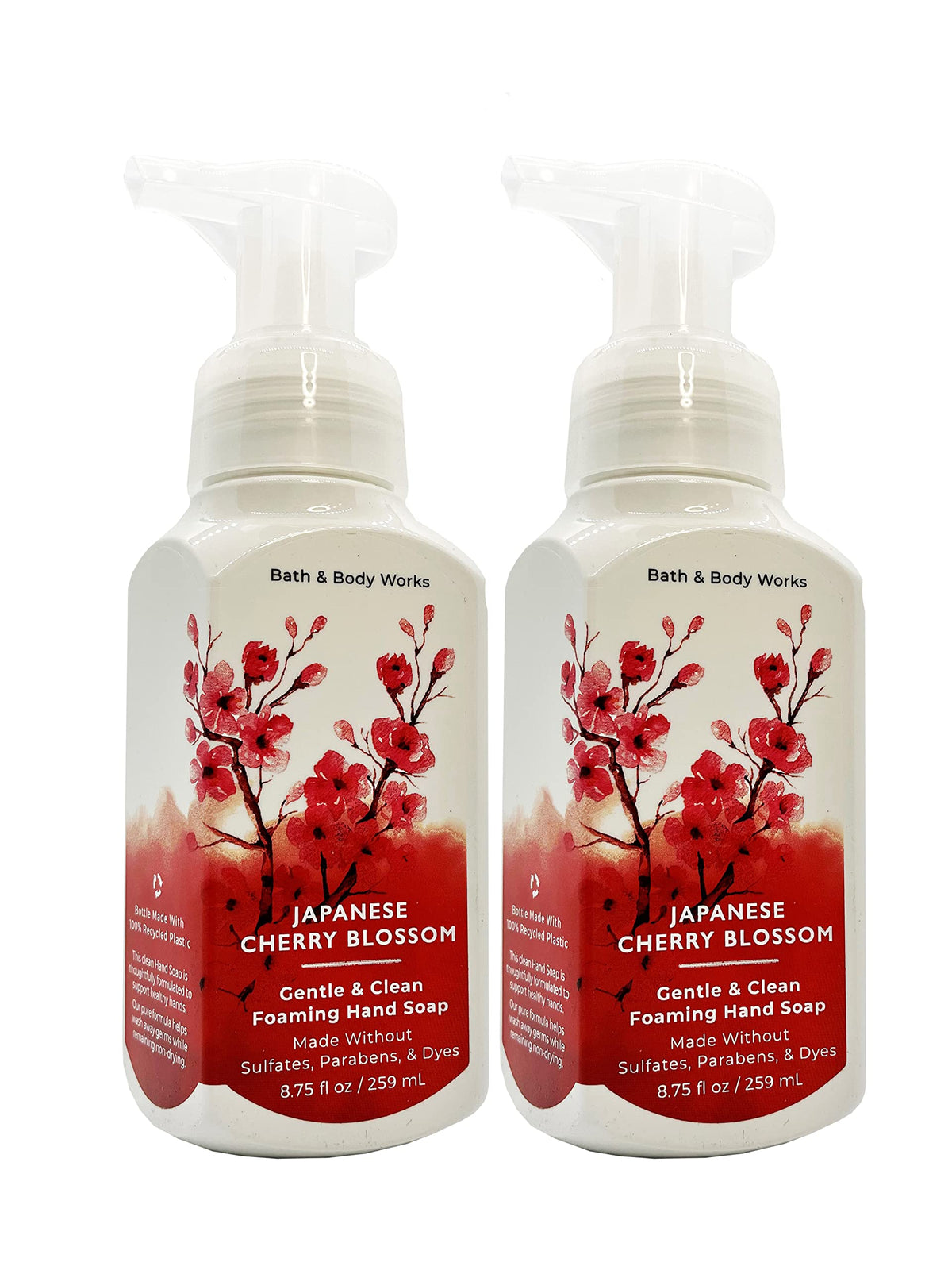 Bath & Body Works Gentle Foaming Hand Soap packaging with floral design