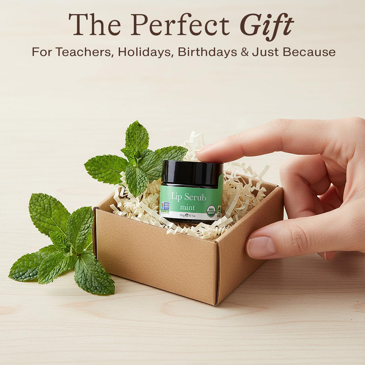 Beauty by Earth Organic Lip Scrub Mint in a bathroom setting