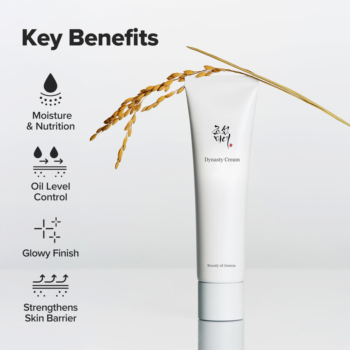 Beauty of Joseon Dynasty Cream 100ml with packaging