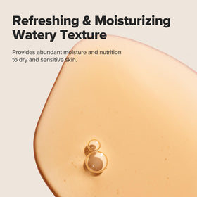Beauty of Joseon Ginseng Essence Water Toner with ginseng roots