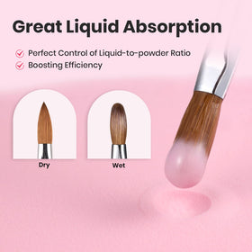 beetles Acrylic Nail Brush Kolinsky Hair packaging display