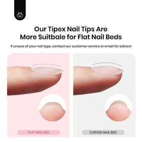 beetles Apex Nail Tips on a nail art display stand
