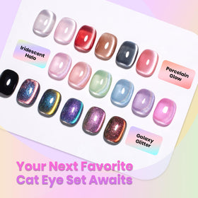 beetles Cat Eye Gel Nail Polish Set gift presentation