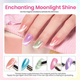 beetles Cat Eye Gel Nail Polish Set with application tools