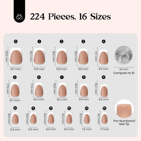 beetles French Tips Press On Nails close-up of design