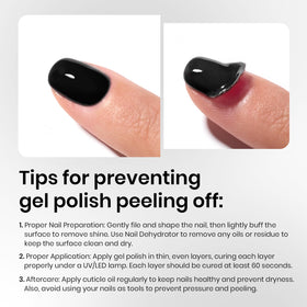 beetles Gel Polish set with all components displayed