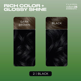 Before and after results of Clairol hair dye
