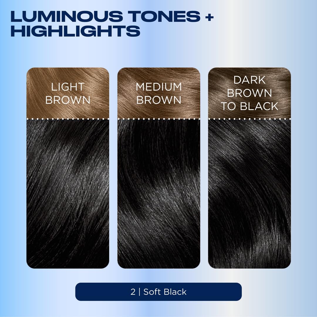 Before and after results of Clairol Nice'n Easy 2 Black