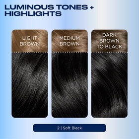 Before and after results of Clairol Nice'n Easy 2 Black