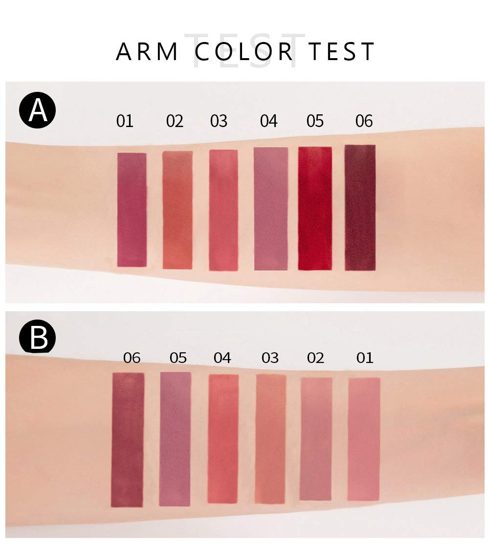BestLand Matte Liquid Lipstick in nude brown shade