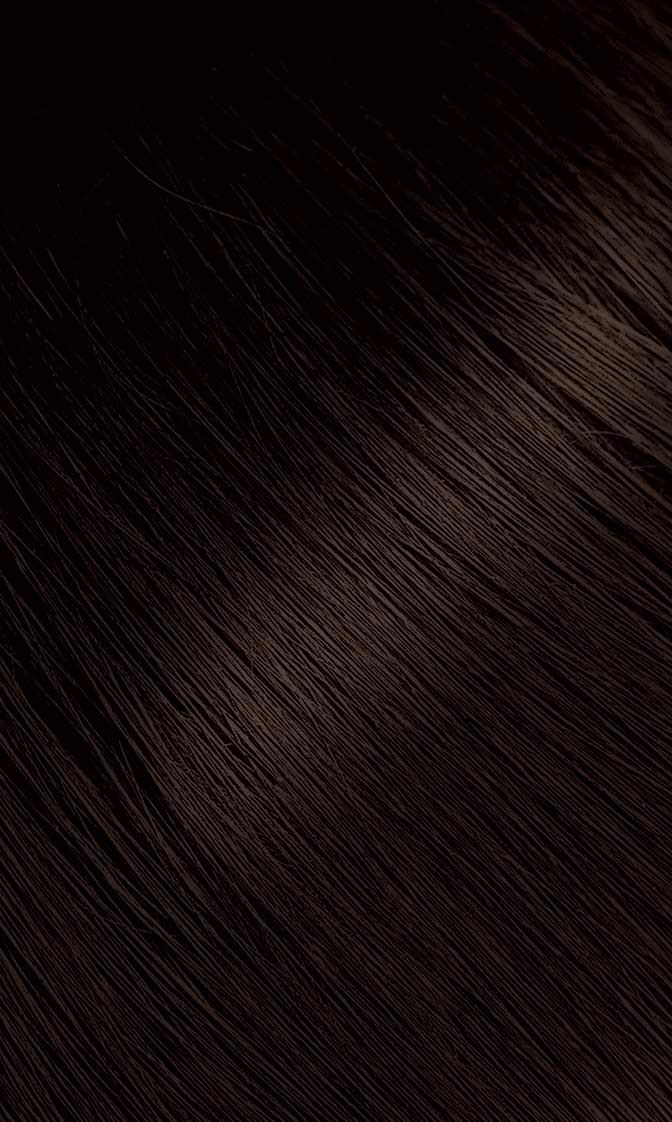 Bigen Powder Hair Color #47 Medium Chestnut packaging
