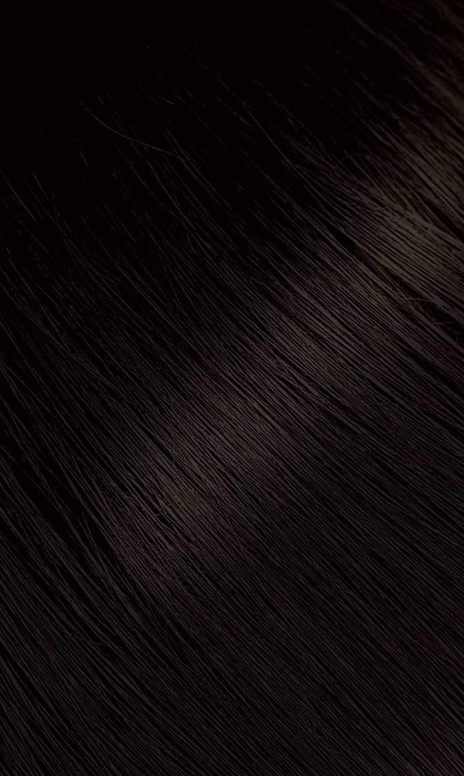 Bigen Powder Hair Color #48 Dark Chestnut packaging details