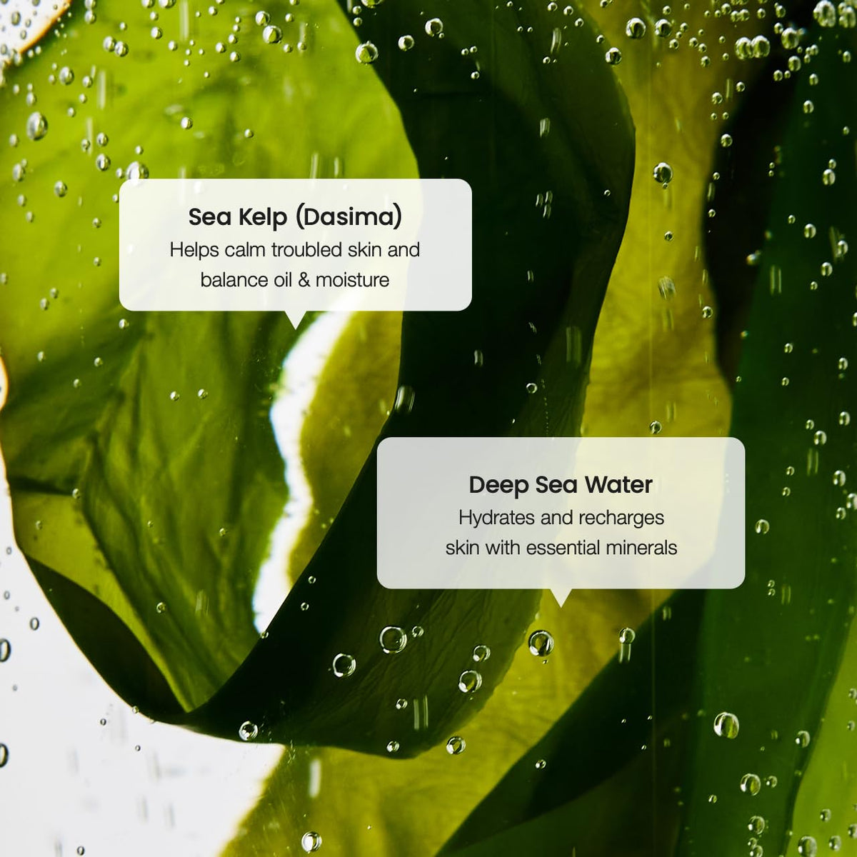 BIODANCE serum in a skincare routine setting