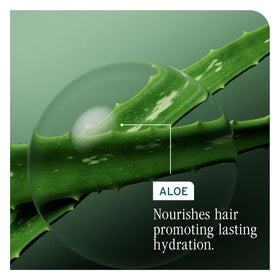 Biolage Hydra Source Detangling Solution application on wet hair