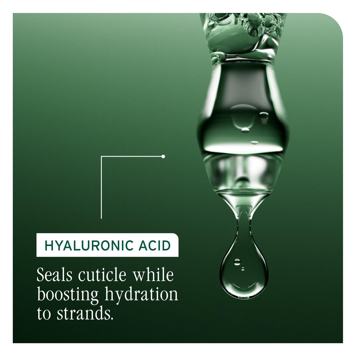 Biolage Hydra Source Shampoo back view