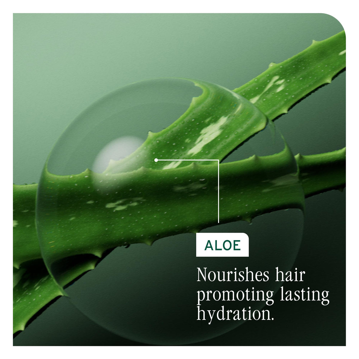 Biolage Hydra Source Shampoo texture on hand