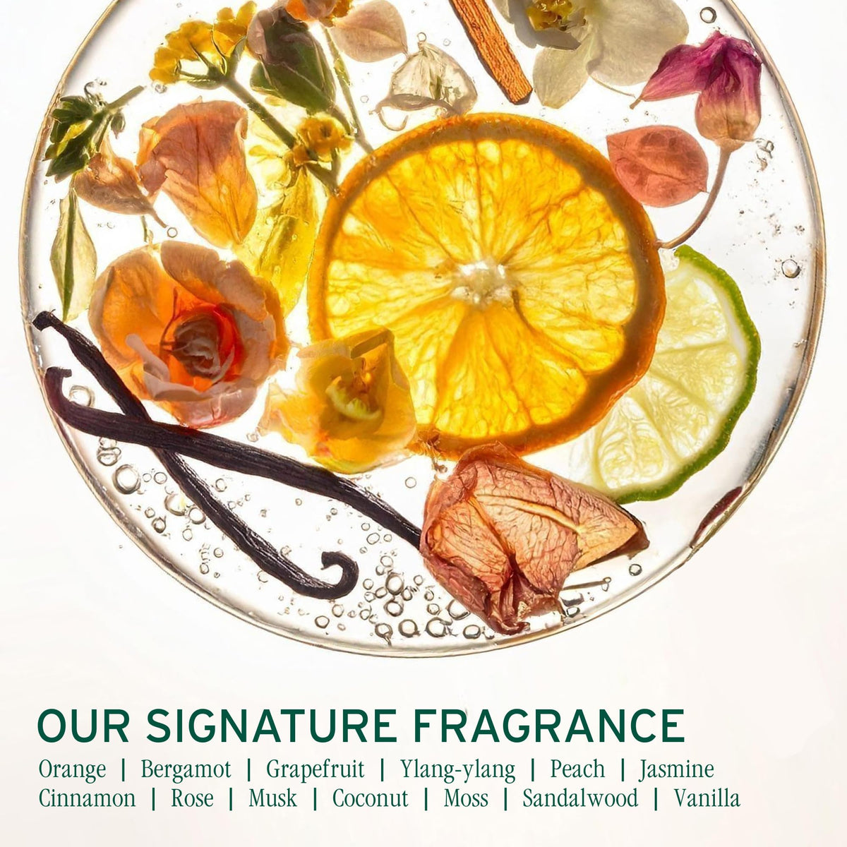 Biolage Scalp Sync Clarifying Shampoo packaging details