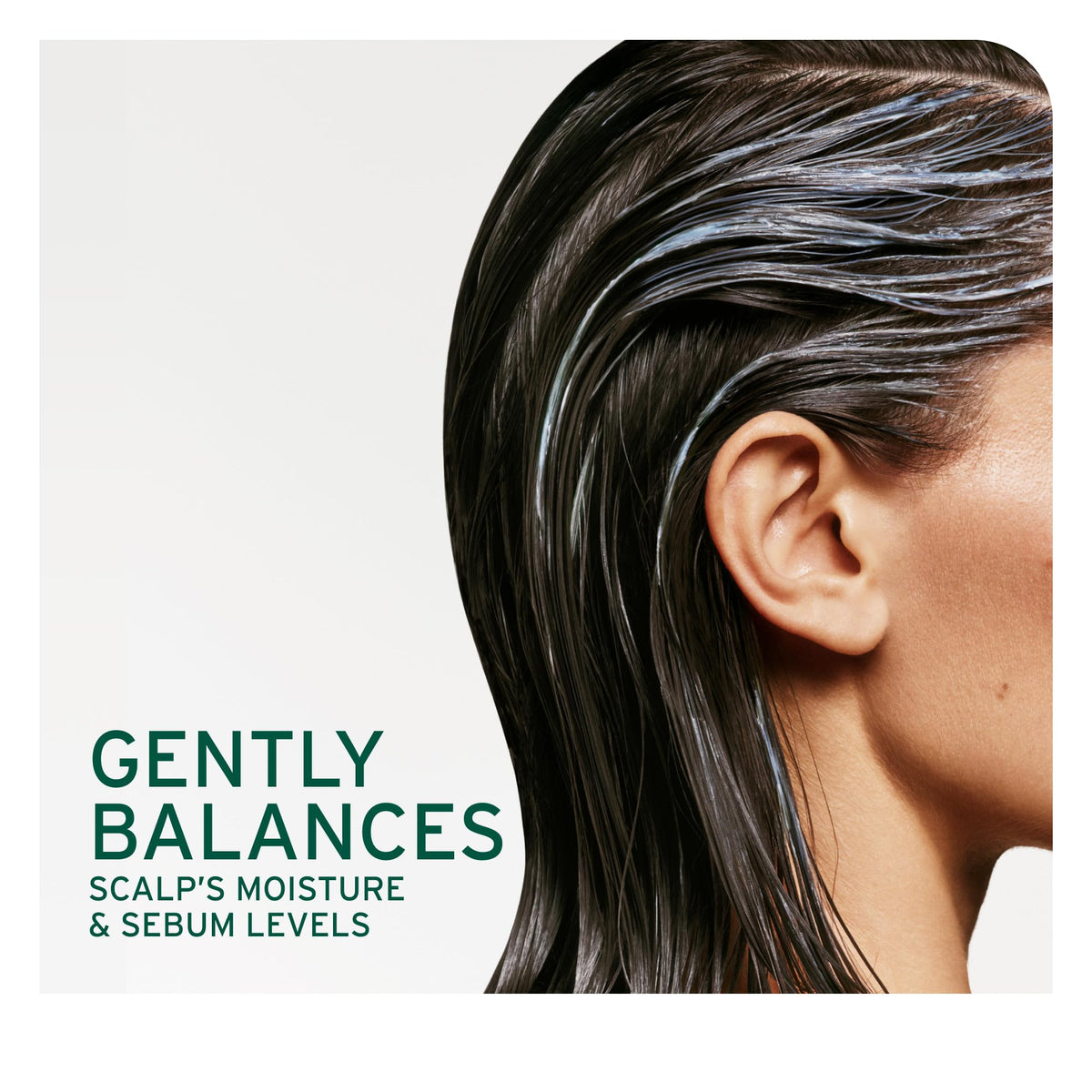 Biolage Scalp Sync Universal Conditioner application on hair