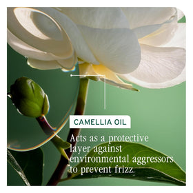 Biolage Smooth Proof Shampoo with camellia flower