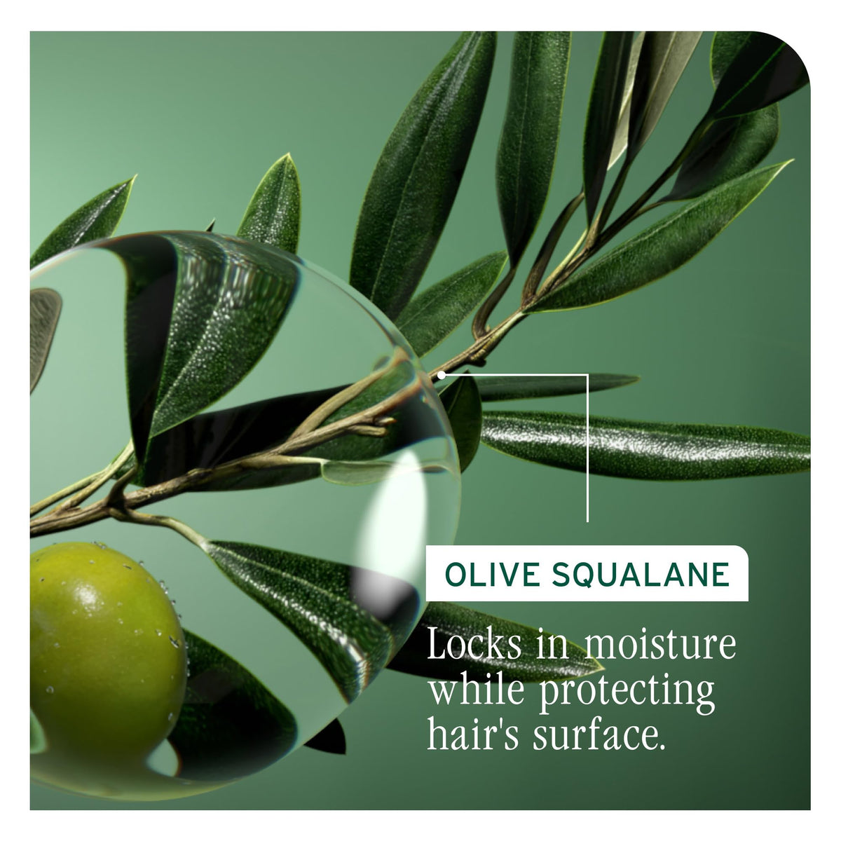 Biolage Strength Recovery Shampoo in a bathroom setting