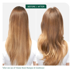Biolage Volume support Conditioner 33.8 oz back view