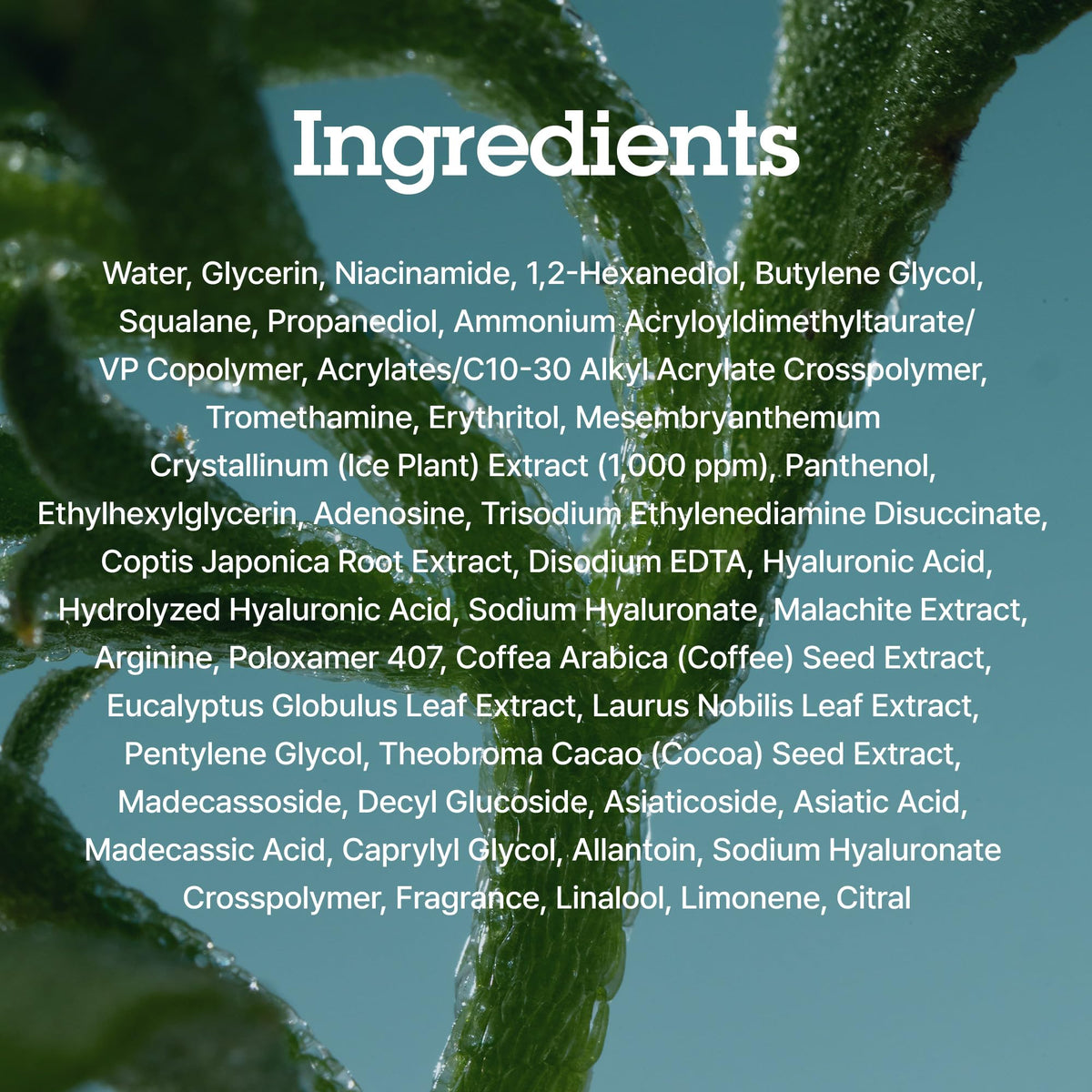 BLITHE Pressed Serum Crystal Iceplant product dimensions