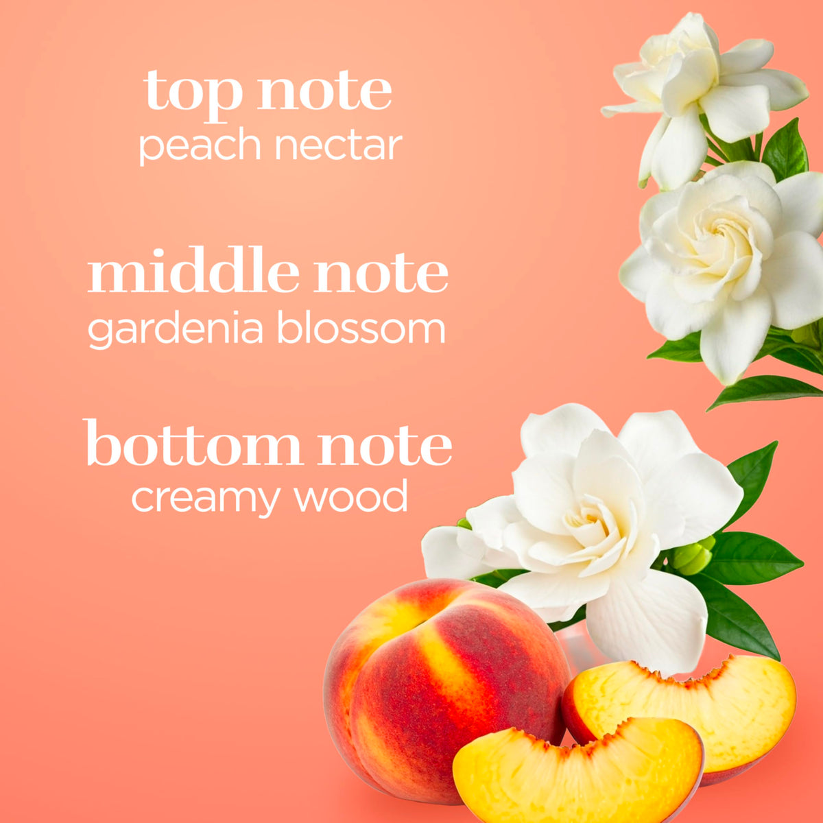 Body Fantasies Sweet Sunrise Body Spray packaging details