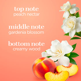Body Fantasies Sweet Sunrise Body Spray packaging details