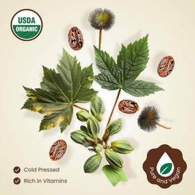 BodyJ4You Castor Oil for brow