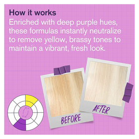 BOLD UNIQ Purple Mask application on hair