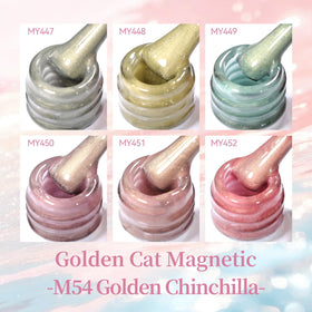 Born Pretty Cat Magnetic Eye Gel Nail Polish Set packaging