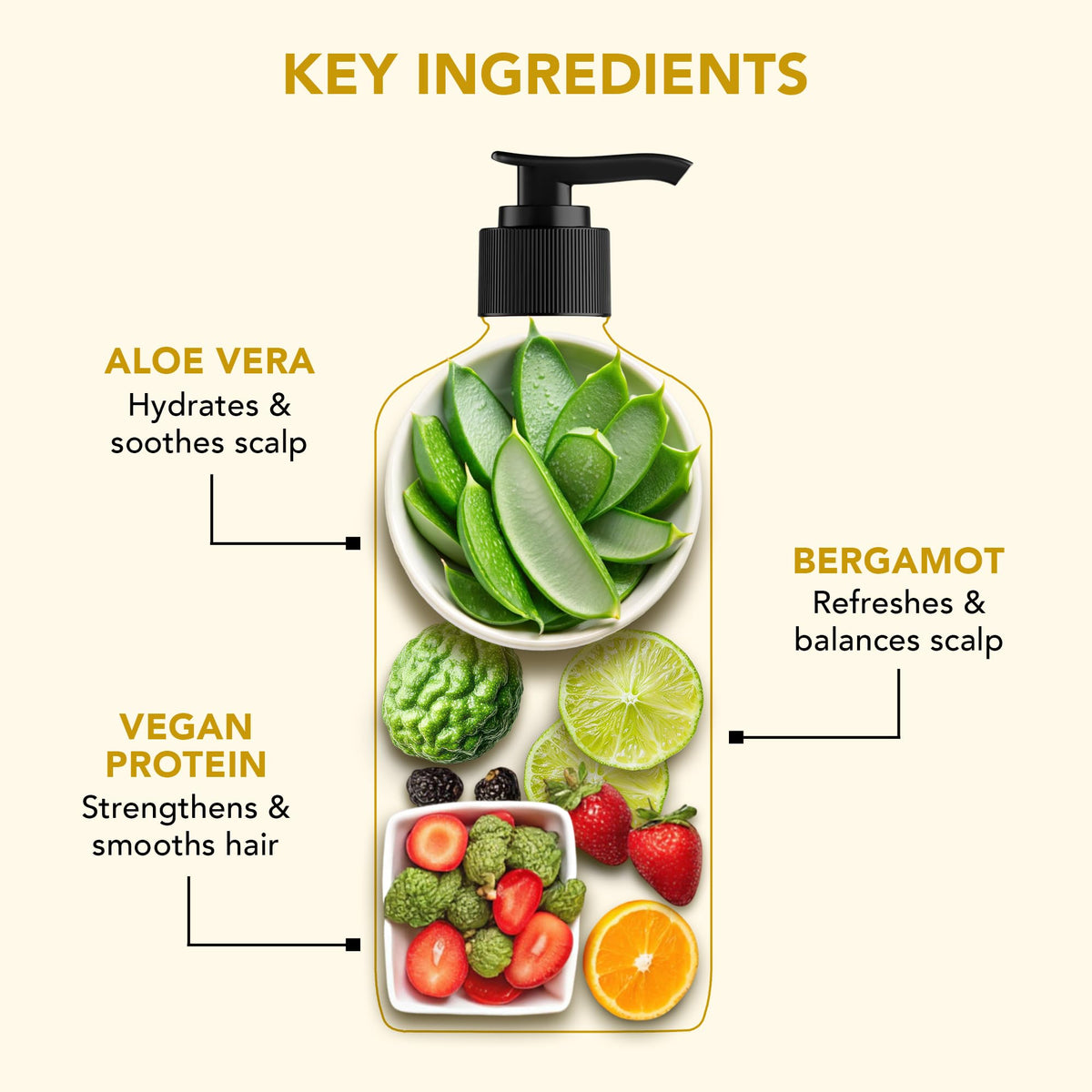 Botanic Hearth Aloe Vera Shampoo bottle with cap