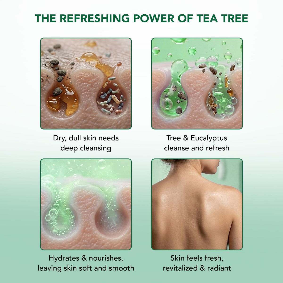 Botanic Hearth Eucalyptus & Tea Tree Body Wash with loofah