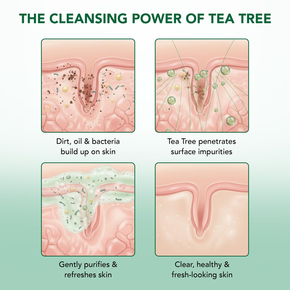 Botanic Hearth Tea Tree Body Wash with ingredients displayed