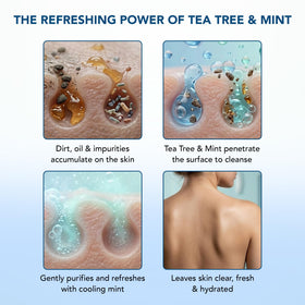 Botanic Hearth Tea Tree & Mint Body Wash close-up of label