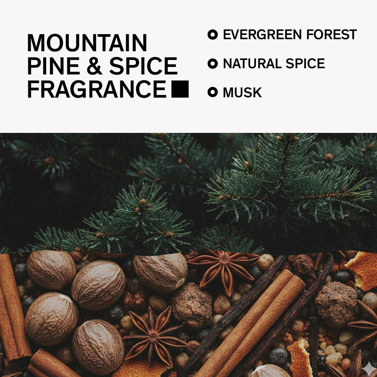 Bravo Sierra deodorant packaging with woodsy design
