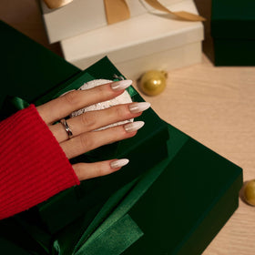 BTArtbox Press On Nails Champagne Frost application guide