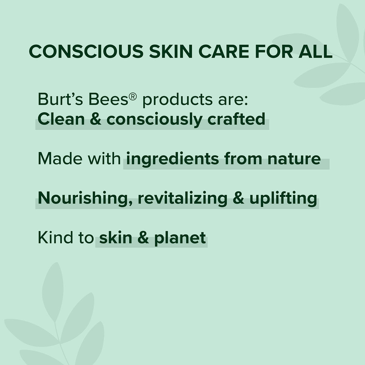 Burt's Bees Almond Powder Foundation texture close-up
