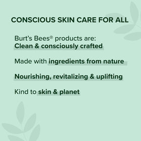 Burt's Bees Almond Powder Foundation texture close-up