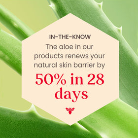 Burt's Bees Calming Day Face Lotion lifestyle scene