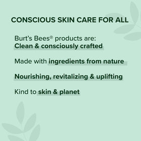 Burt's Bees Kissable Color Gift Set in spring gift box